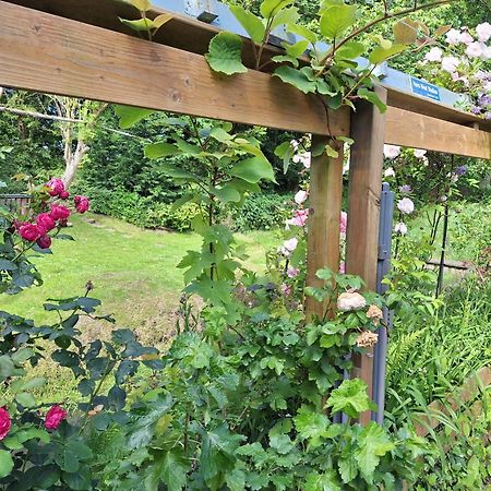 Klein Heemshof - Noord Holland aan uw voeten Warmenhuizen Buitenkant foto