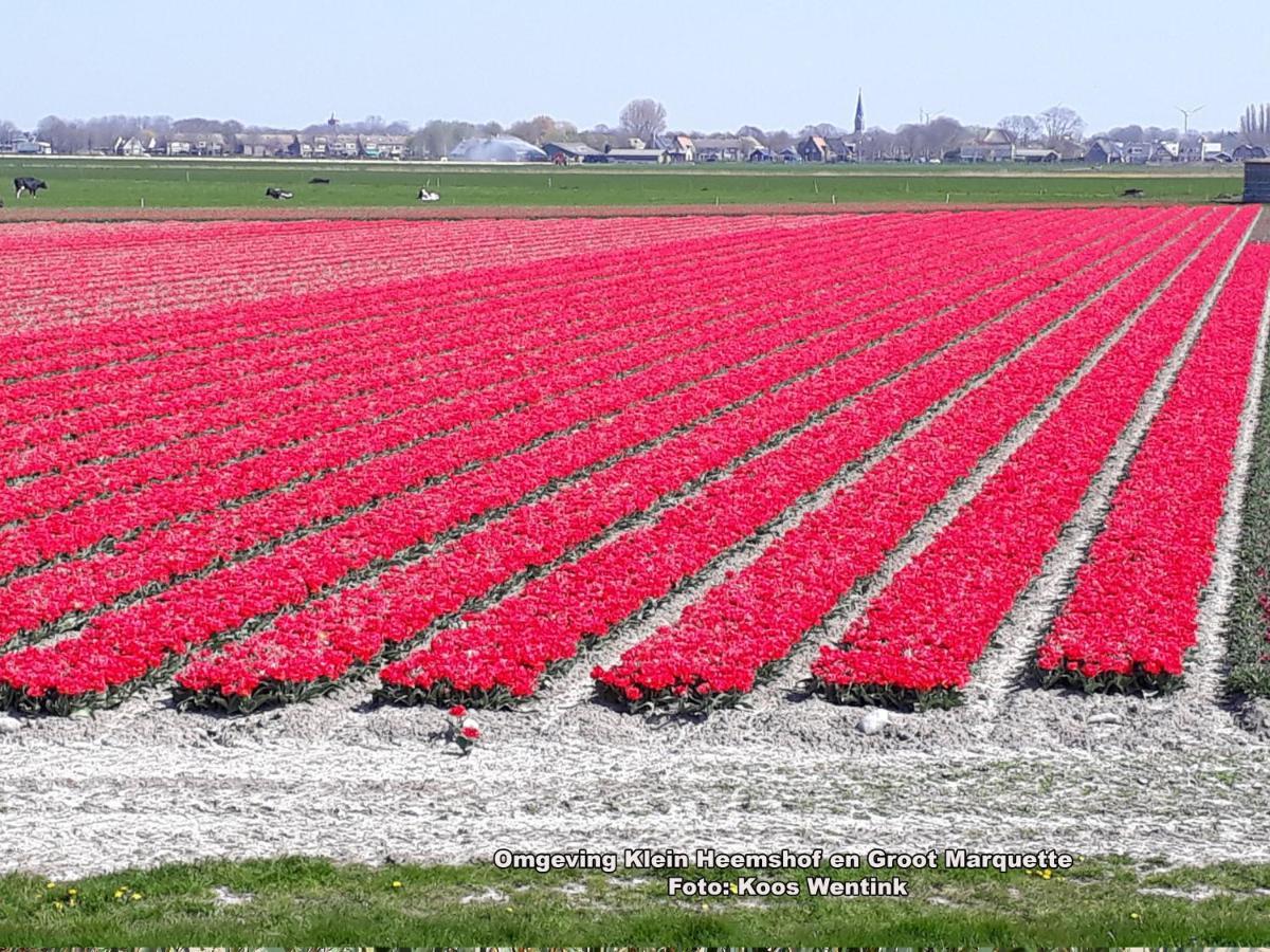 Klein Heemshof - Noord Holland aan uw voeten Warmenhuizen Buitenkant foto